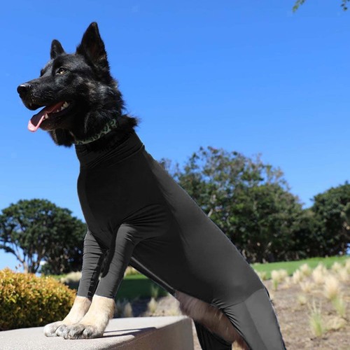 Dog bodysuit pet shedding suit - bodysuit,