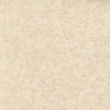 Caravan Wallboard Bailey