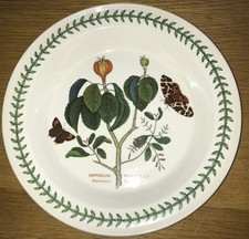 Portmeirion Botanic Garden Large Shallow Bowl Pie Dish Manchineel Tree 27cm