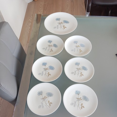 Wedgwood ice rose - x, cm