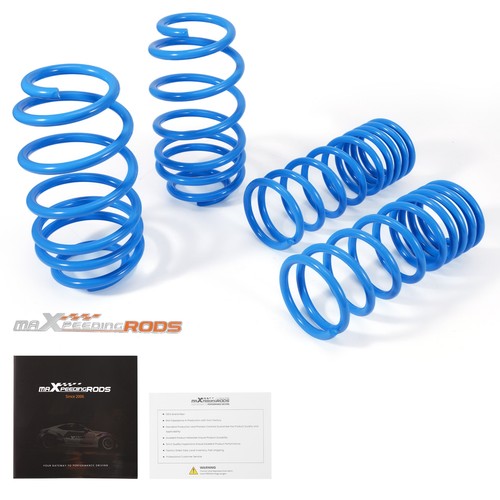 Lowering springs for - lowering,