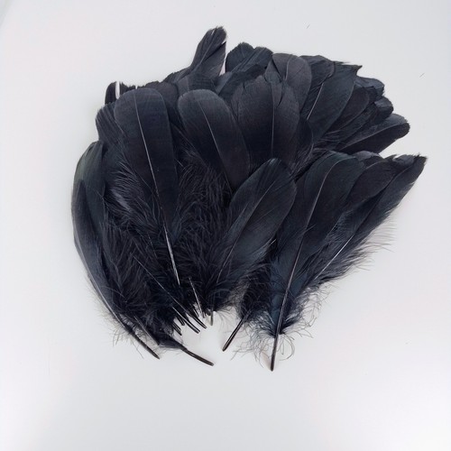 Black goose feathers 100 - black,