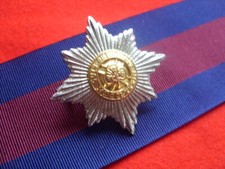 CAP BADGE IRISH GUARDS SNCO  &