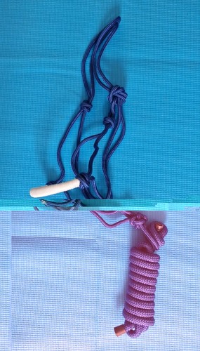 Rope halter lead - lead,