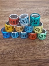 12 Racing Pigeon Rings - from mixed