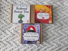 Grow Your Own Redwood & Chinese Wisteria Bonsai Trees & Sunflower Kits.