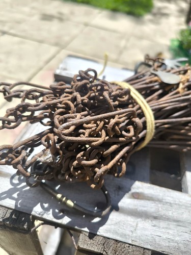 Antique gunter chain - antique, gunter’s