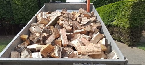Seasoned hardwood logs - hardwood,