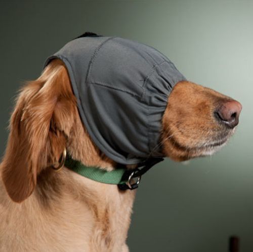 Thundershirt thundercap for - thundershirt,