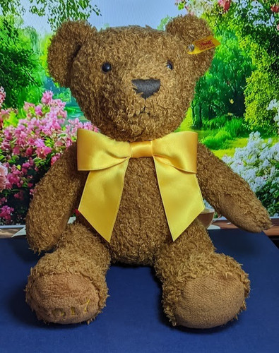 Steiff cosy bear - bear, 2017.