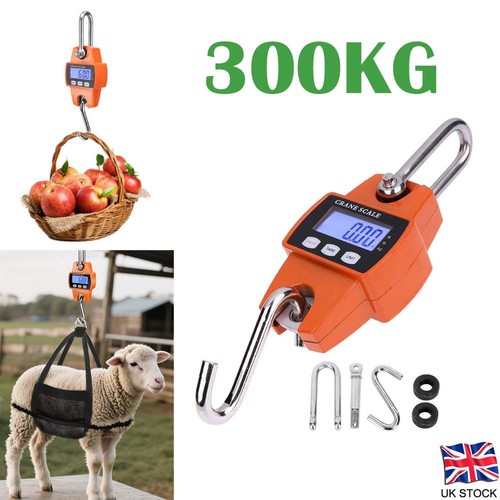 Mini crane scale weight - crane,