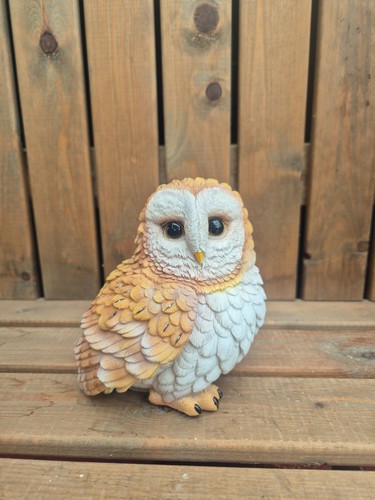 Vivid arts small barn owl - arts,