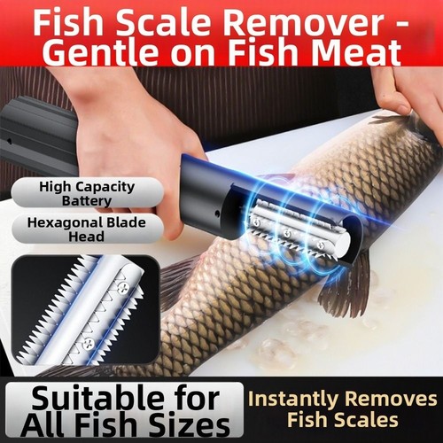 Portable kitchen coconut - portable,