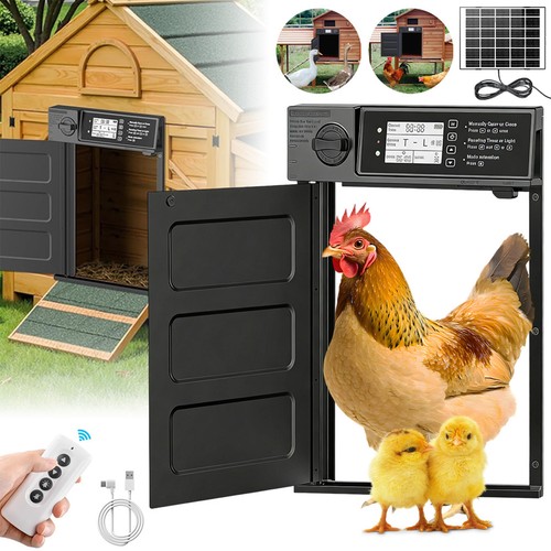 Automatic chicken coop - coop, door