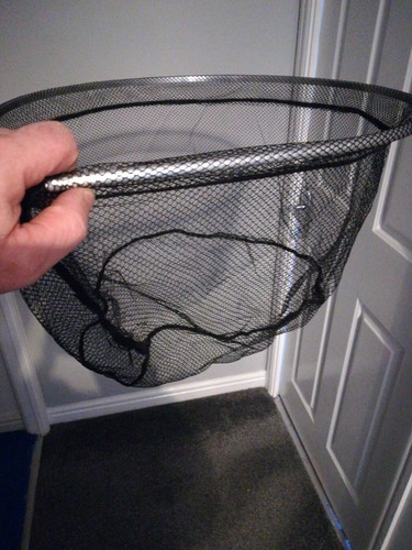 Fishing net landing - net,