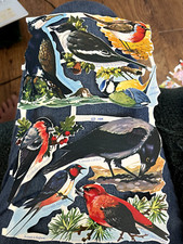 Vintage embossed die cut paper