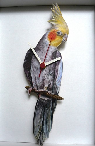 Cockatiel wall hanging - cockatiel,wall,