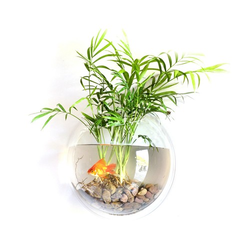 New home decoration wall - new,