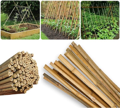 2ft 3ft 4ft - 2ft, bamboo