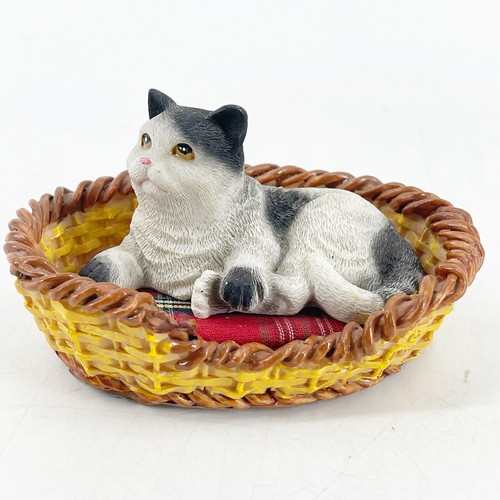 Vintage snoozing kitten - kitten, in