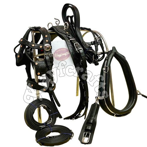 Padded collar black leather - padded,