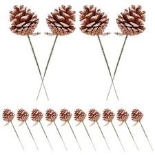  20 Pcs Christmas Decoration Pine Cones DIY Crafts Pinecones Picks