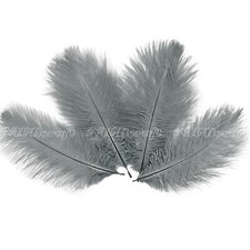 10pcs 15-20cm Natural Genuine Ostrich Feather Fluffy Costume Craft Party Decor