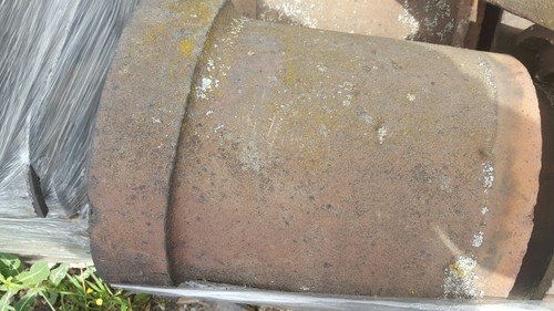 Reclaimed red brindle - red/brindle, half