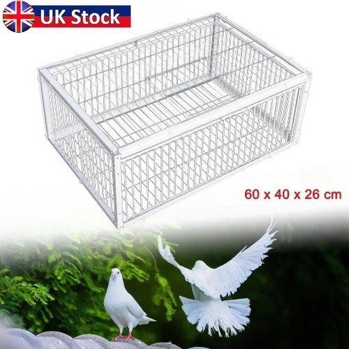 Pigeon trap cage single - trap,