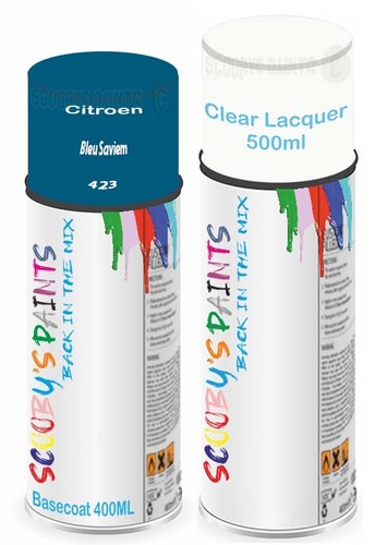 For citroen spray - for, paint
