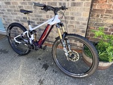 Medium Frame EMTB Mountain