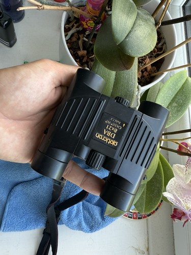 Opticron dba series 8x21 - opticron,