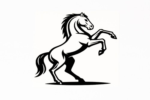 Horse bumper sticker wall - horse,