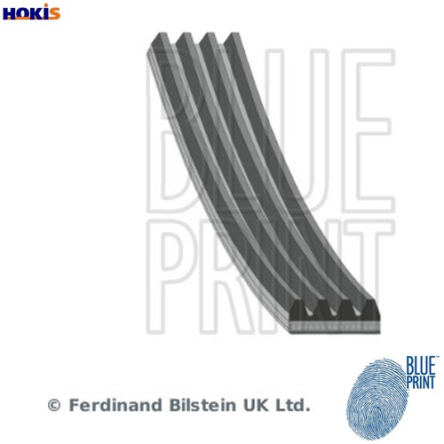 Vribbed belt ad04r1005 for - vribbed,