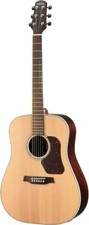 Walden D800EW Western Guitar Dreadnought Solid Wood Satin Finish EQ Case
