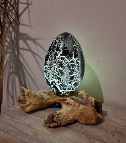 Driftwood lamp hand - driftwood, lamp/hand