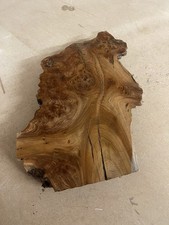 Burr Elm Slab