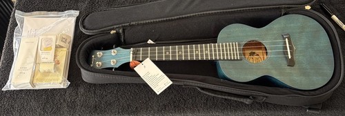 Enya concert ukulele - concert, 23