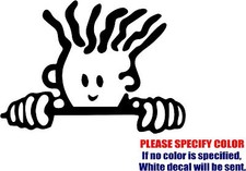 Vinyl Decal Sticker - Peeping