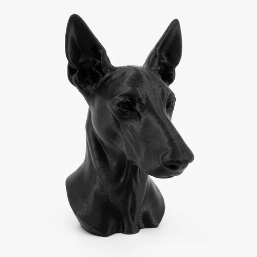 Pharoah hound dog - dog, bust