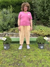 Pair Large Real topiary balls