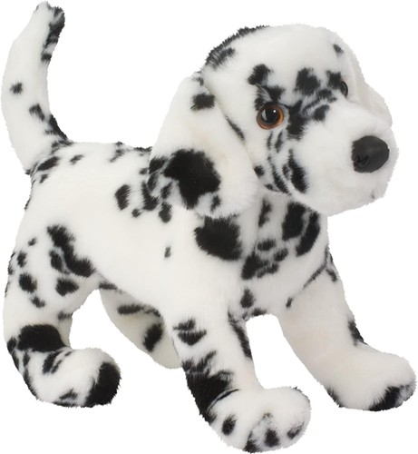 Douglas winston dalmatian dog - dalmatian,
