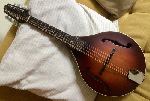 The loar 110 honey creek - the,