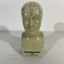 Phrenology Head L.N. Fowler Ceramic Ornaments Figurine Busts Collectables 16cm