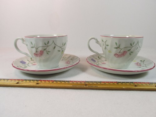 Summer chintz cups 5 - 6,