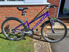 Claud Butler Banshee Mountain