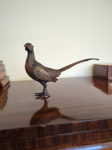 Cold painted bronze vienna - bronze,
