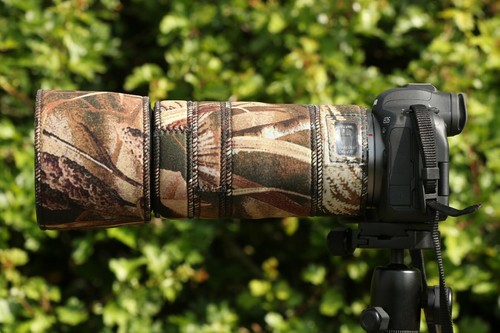 Canon 100 400 f8 - f5.6,