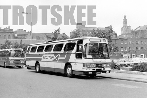 35mm black and white - black,
