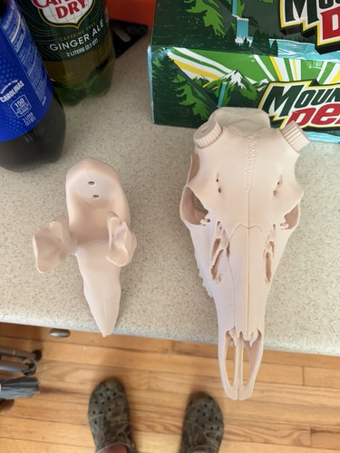Whitetail deer printed - whitetail,